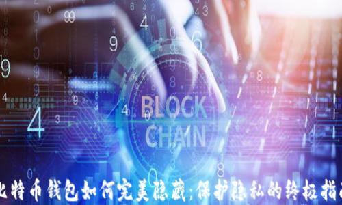 
比特币钱包如何完美隐藏：保护隐私的终极指南